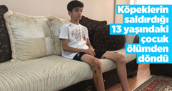 Ankara'da köpeklerin saldırdığı 13 yaşındaki çocuk ölümden döndü