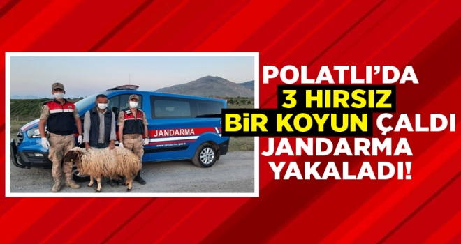 Polatlı'da bir koyunu 3 kişi çaldı... Jandarma koyun hırsızı 3 kişiyi yakaladı!